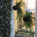Con Encanto Y Terraza En Barri Vell De Girona, El Cul De La Lleona * Girona