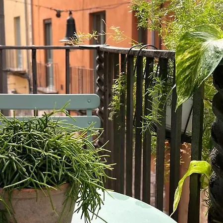 Apartamento Con Encanto Y Terraza En Barri Vell De Girona, El Cul De La Lleona Girona