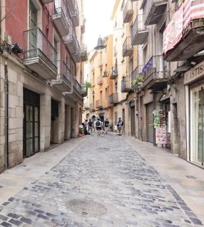 شقة Con Encanto Y Terraza En Barri Vell De Girona, El Cul De La Lleona *