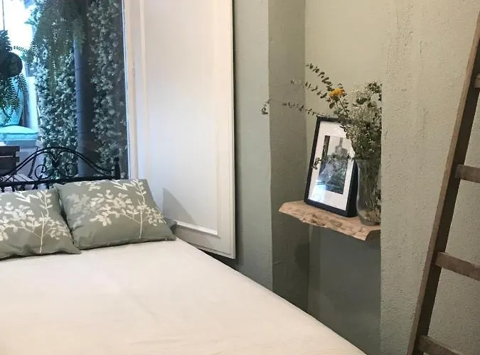 Con Encanto Y Terraza En Barri Vell De Girona, El Cul De La Lleona *