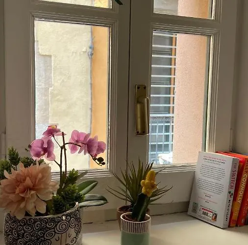 شقة Con Encanto Y Terraza En Barri Vell De Girona, El Cul De La Lleona *