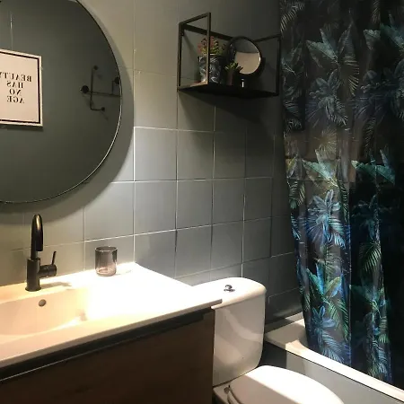 Apartamento Con Encanto Y Terraza En Barri Vell De Girona, El Cul De La Lleona *