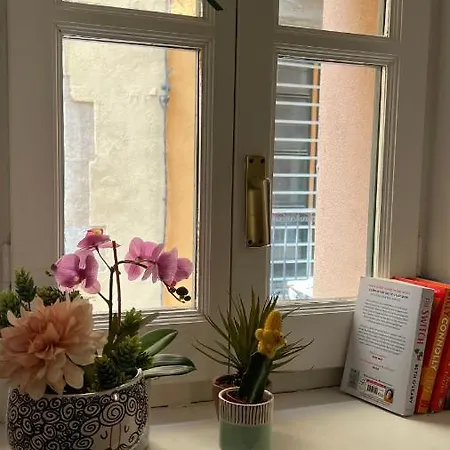 Apartamento Con Encanto Y Terraza En Barri Vell De Girona, El Cul De La Lleona *