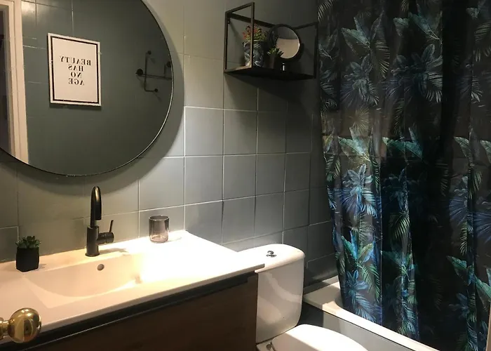 Apartman Con Encanto Y Terraza En Barri Vell De Girona, El Cul De La Lleona *