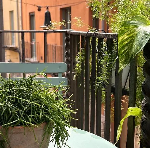 Apartman Con Encanto Y Terraza En Barri Vell De Girona, El Cul De La Lleona Girona