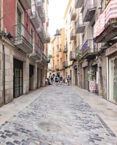 Apartman Con Encanto Y Terraza En Barri Vell De Girona, El Cul De La Lleona *